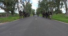 Guardia Rural Los Pumas: Capacitación Monte III