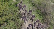 Guardia Rural Los Pumas: Capacitación Monte III