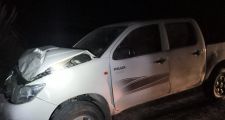 Accidentes ocasionados por animales sueltos sobre Ruta Nacional Nº98 y Ruta Provincial Nº13