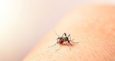 DENGUE: 15.747 CASOS Y SEIS FALLECIDOS EN LA PROVINCIA.