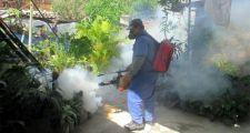 DENGUE: confirman 1.520 casos y dos nuevos fallecidos