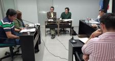 Temas tratados en Concejo Deliberante
