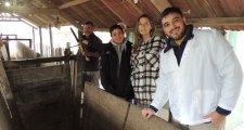 ENSAYO PARA UNA TESIS DOCTORAL SOBRE CÓMO PREVENIR LA TRISTEZA BOVINA