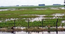 Por el efecto de El Niño se esperan excesos de lluvia en la provincia