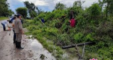 EN ACCIÓN TRAS LA TORMENTA