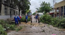 EN ACCIÓN TRAS LA TORMENTA
