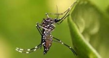 SITUACIÓN EPIDEMIOLÓGICA EN LA PROVINCIA AL 3 DE ENERO