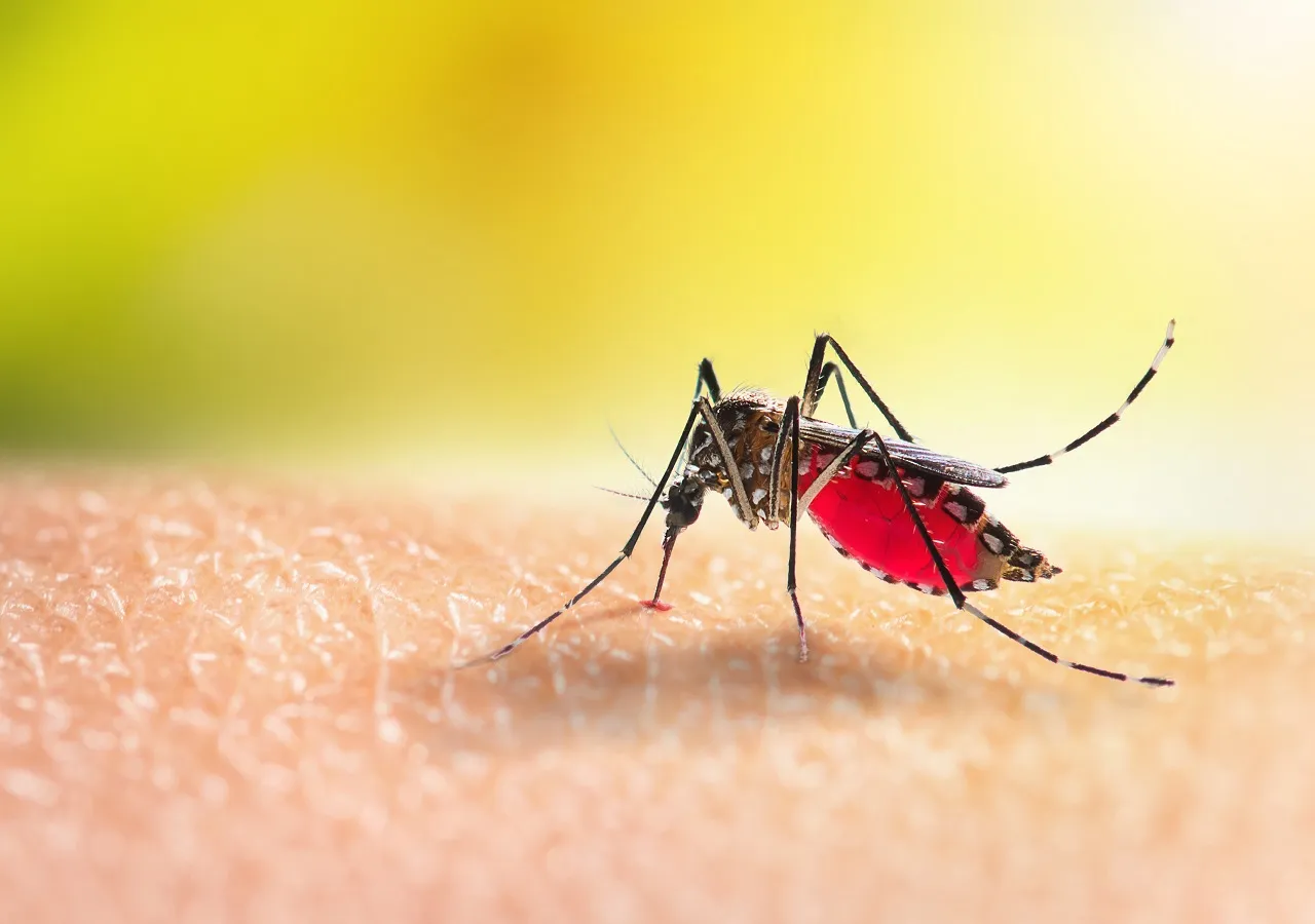 SITUACIÓN EPIDEMIOLÓGICA EN LA PROVINCIA