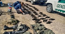 Cazadores extranjeros:la justicia dictó pena de prisión contra el guía local