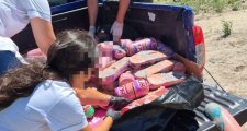 Procedimientos de la Guardia Rural Los Pumas