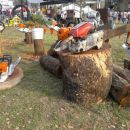 STAND EN LA EXPO 2012 DE RAMSEYER MOTOSIERRAS