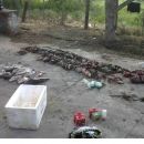 SECUESTRO DE ARMA DE FUEGO, PECES Y ANIMALES SILVESTRES
