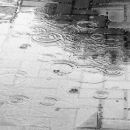 DATOS DE LLUVIA