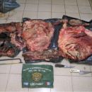 SECUESTRO DE 24.000 KG. DE VIGAS DE ALGARROBO EN TOSTADO
