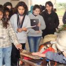 INVESTIGACION SOBRE LA ACTIVIDADES ECONOMICAS EN VERA