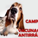 Campaña Municipal de castracíón y vacunación antirrábica
