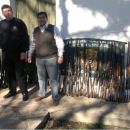 SECUESTRO DE ARMAS ILEGALES