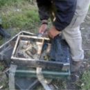 SECUESTRAN CARGAMENTO DE PAJAROS SILVESTRES