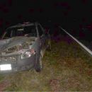 UN AUTOMOVIL COLISIONO CON UN ANIMAL VACUNO EN RUTA 98