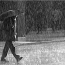 LLUVIAS EN EL DEPARTAMENTO