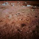 China llega a la Luna por primera vez y mandan fotos / foto 2