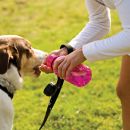 ALTAS TEMPERATURAS PARA LOS PROXIMOS DIAS