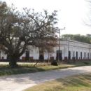 FIESTA PROVINCIAL DEL AMIGO - LA GALLARETA