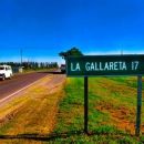 FIESTA PROVINCIAL DEL AMIGO - LA GALLARETA