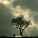 DATOS DE LLUVIA Y PRONOSTICO EXTENDIDO