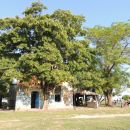 PREOCUPA LA SITUACION DE LA ESCUELA SECUNDARIA DE LOS AMORES
