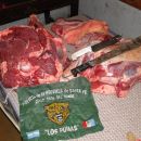 PROCEDIMIENTOS DE LA GUARDIA RURAL LOS PUMAS DE ROMANG