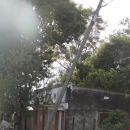 RECLAMOS DE VECINOS