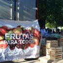 EL CAMIÓN DEL PROGRAMA FRUTA PARA TODOS EN VERA