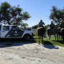 SERIE DE ALLANAMIENTOS SE LLEVAN A CABO EN LA ZONA DE ALEJANDRA