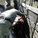 SERIE DE ALLANAMIENTOS SE LLEVAN A CABO EN LA ZONA DE ALEJANDRA
