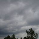 DATOS DE LLUVIA