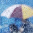 REGISTRO DE LLUVIA: 50 MM. EN VERA