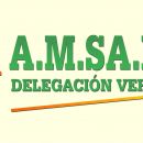 MICRO INFORMATIVO DE AMSAFE - VERA