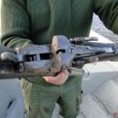 SECUESTRO DE DOS ARMAS DE FUEGO