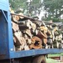 SE SECUESTRAN 8.000 KGS DE VIGA DE ALGARROBO.