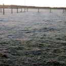 FRIO...FRIO PARA LOS PROXIMOS DIAS