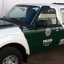 ESCLARECIMIENTO DE ROBOS EN VILLA MINETTI