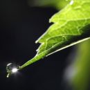 DATOS DE LLUVIA Y PRONOSTICO EXTENDIDO