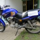 SUSTRAJERON PORCINO EN UN CARRITO TIRADO POR UNA MOTO