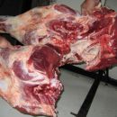 SECUESTRO DE CARNE - GUARDIA RURAL LOS PUMAS