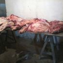 TRES APREHENDIDOS POR ROBO DE ANIMALES EN VILLA OCAMPO.