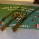 Los pumas de Romang vigilando la zona isleña