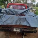 TRANSPORTABA VACUNOS FAENADOS SIN DOCUMENTACION