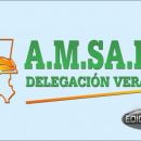 AMSAFE VERA – MICRO SEMANAL