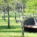 Reacondicionan el camping en Romang